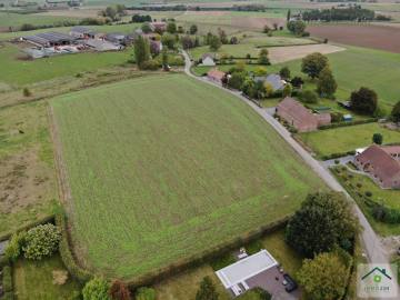 image du terrain