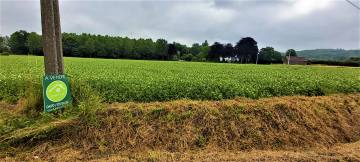 image du terrain