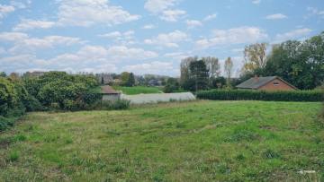 image du terrain
