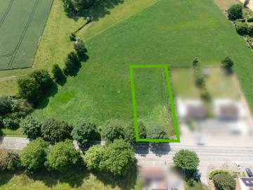 image du terrain