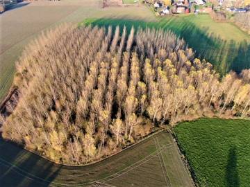 image du terrain