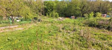 image du terrain