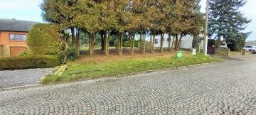 image du terrain