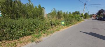 image du terrain