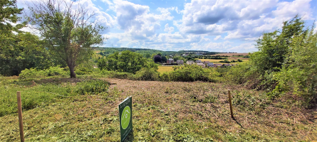 Image du terrain